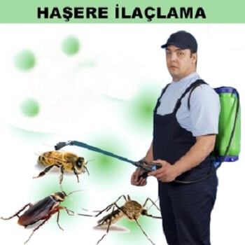Savaştepe Böcek İlaçlama